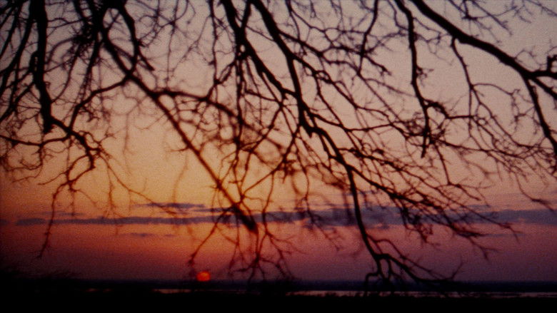 кадр из фильма The Legend of Boggy Creek