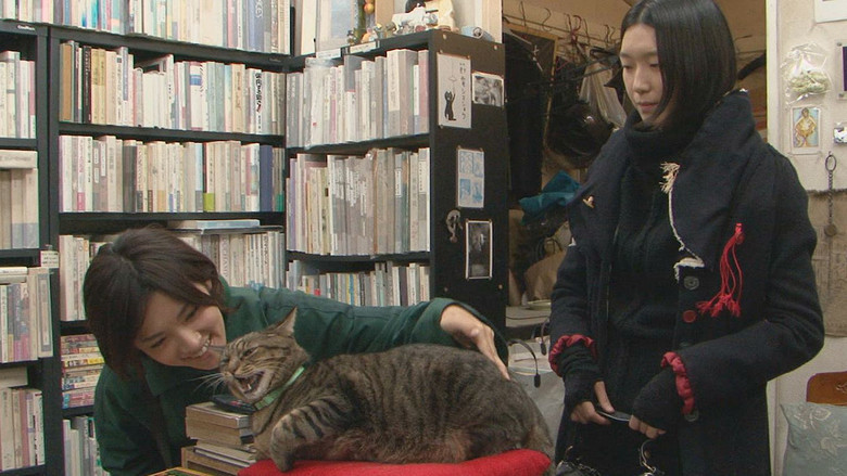 кадр из фильма 私は猫ストーカー