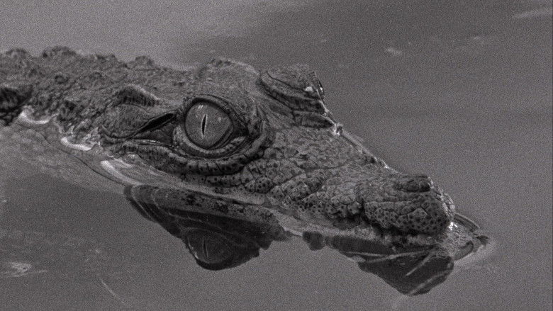 кадр из фильма Табу