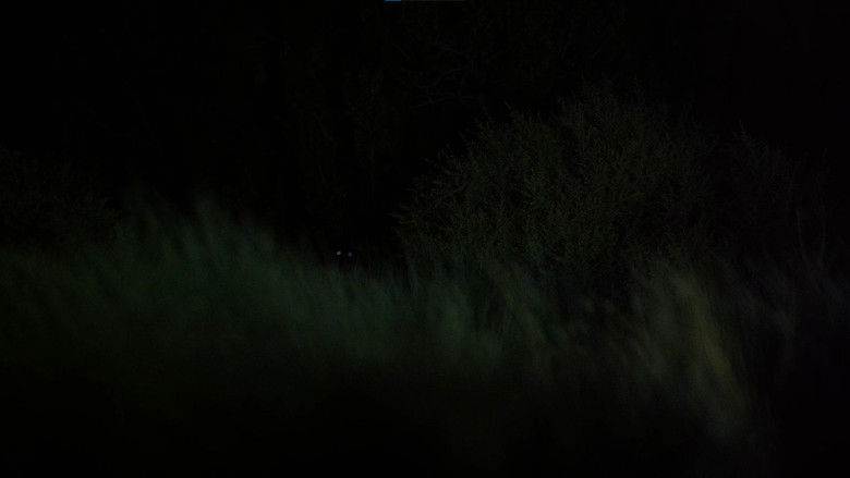 кадр из фильма Cactus Juice