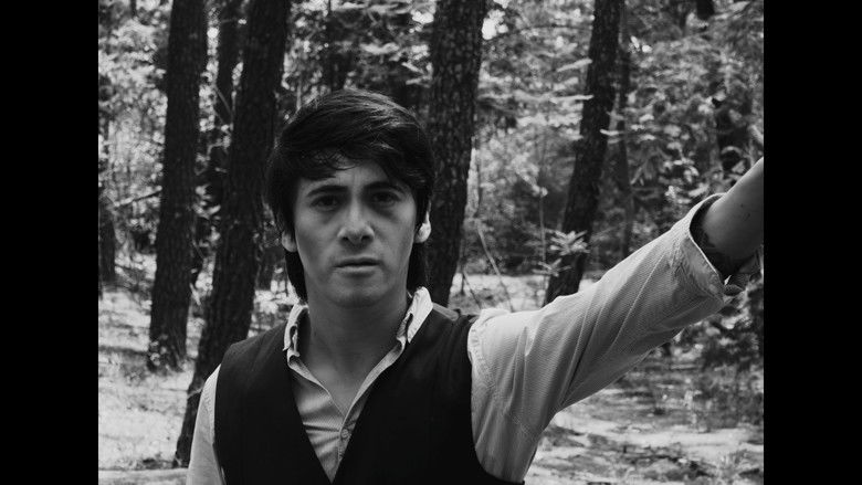 кадр из фильма Frankenstein