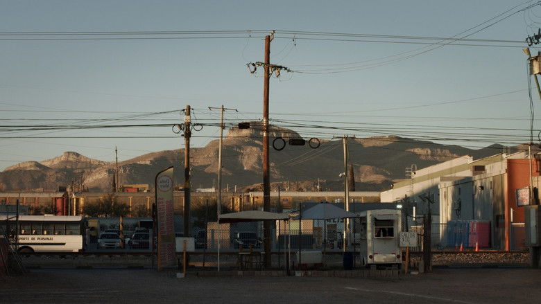 кадр из фильма Libélula