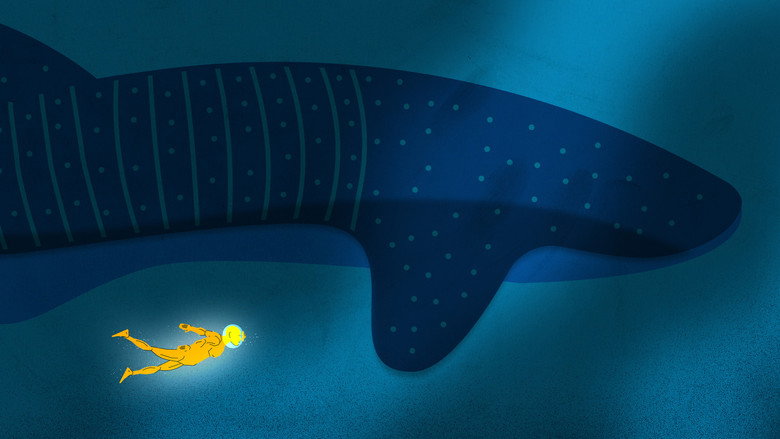 кадр из фильма Medusa