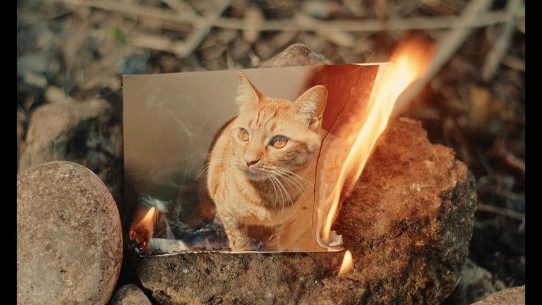 кадр из фильма 22