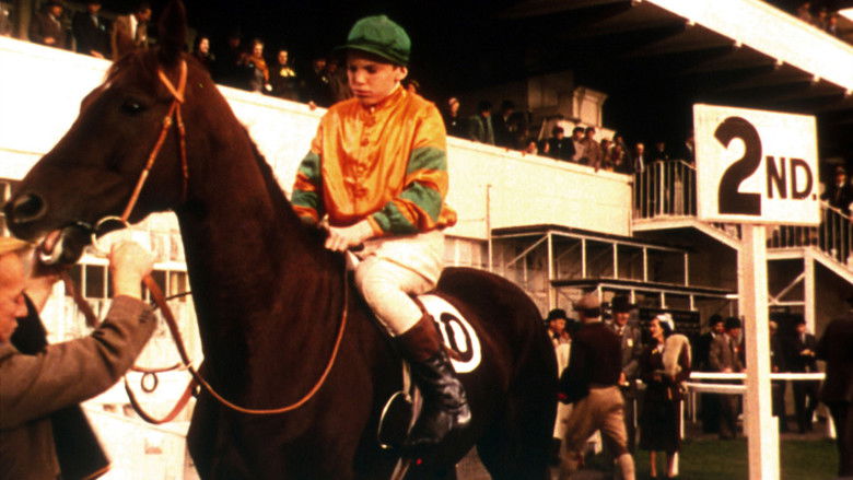 кадр из фильма The Rainbow Jacket