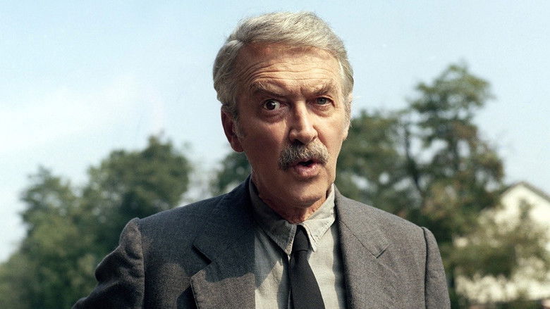 кадр из фильма Парад дураков