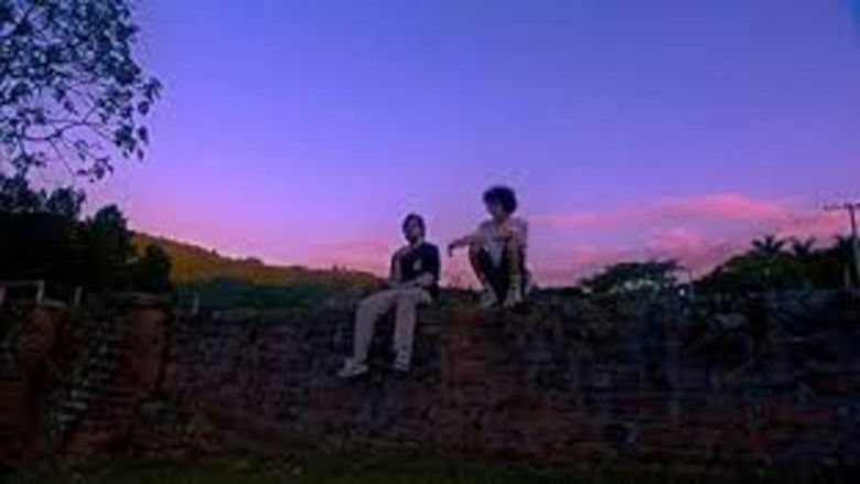 кадр из фильма 13 Lentes De Um Final Feliz