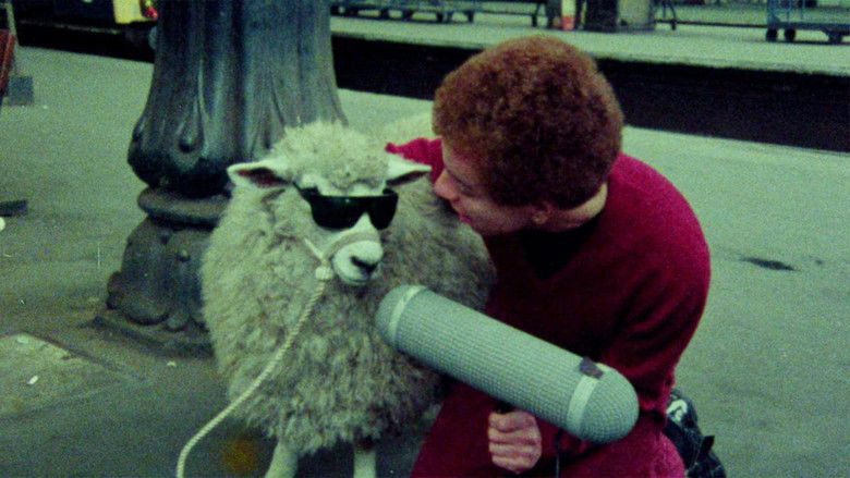 кадр из фильма The Punk Kebab Documentary