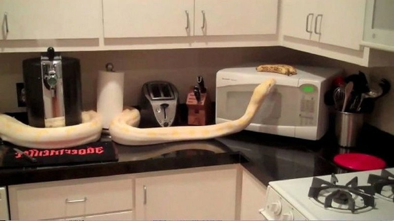 кадр из фильма Unboxing Eden