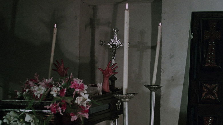 кадр из фильма Funeral siniestro