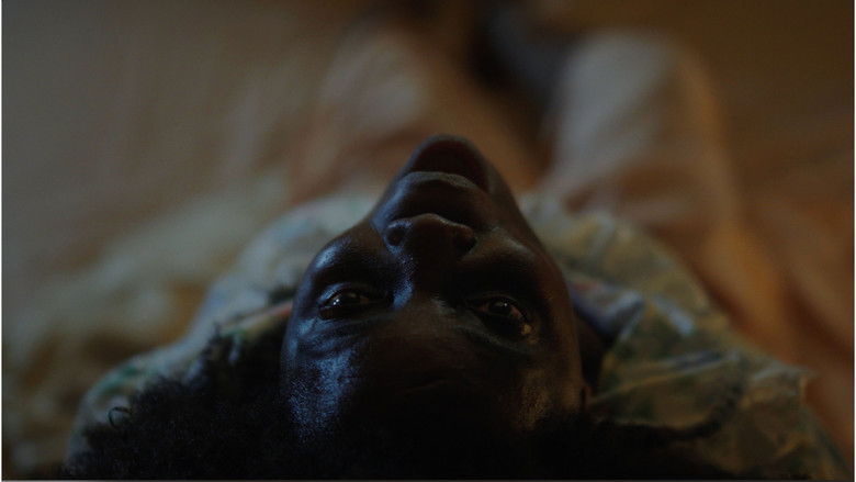 кадр из фильма La Dama del Bosque