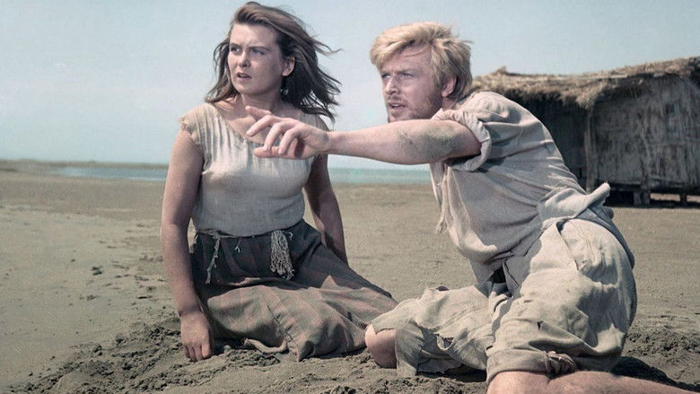 кадр из фильма Сорок первый