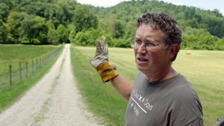 кадр из фильма The Swamp