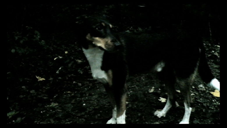 кадр из фильма Прощай, речь