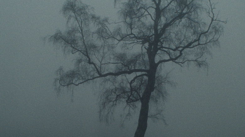 кадр из фильма Río abajo, un tigre