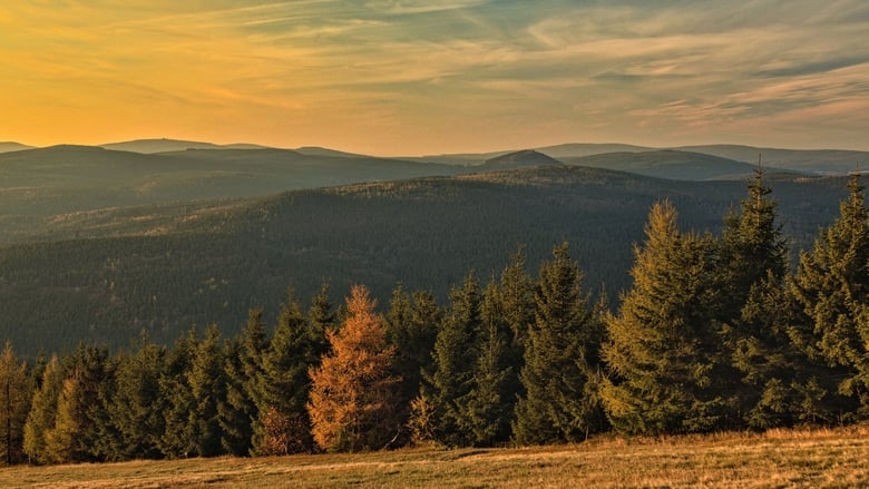 кадр из фильма Jizerské hory – příběh jedinečné krajiny