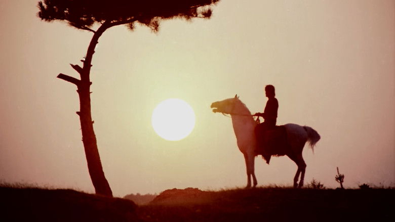 кадр из фильма Battal Gazi Destanı