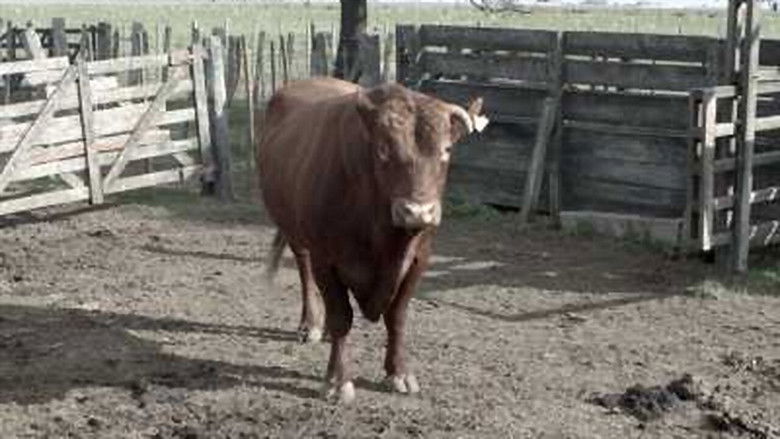 кадр из фильма Carne propia