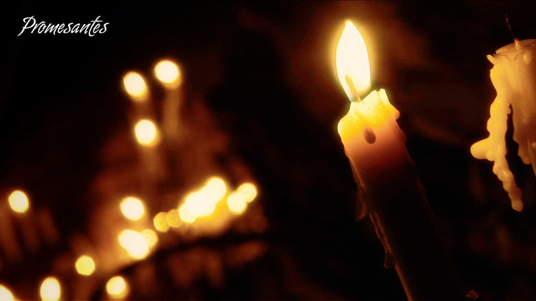 кадр из фильма Promesantes