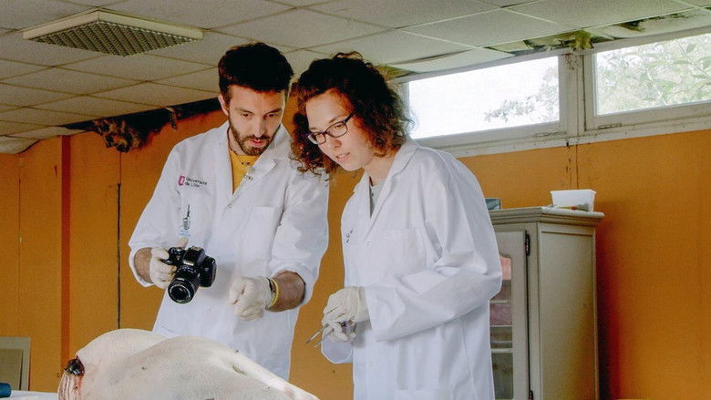 кадр из фильма Le festin des animaux