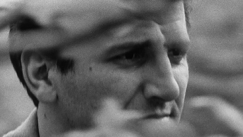 кадр из фильма Три