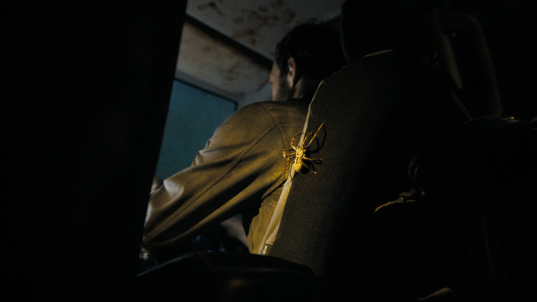 кадр из фильма Дорога милосердия