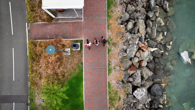 кадр из фильма 6kilomètres