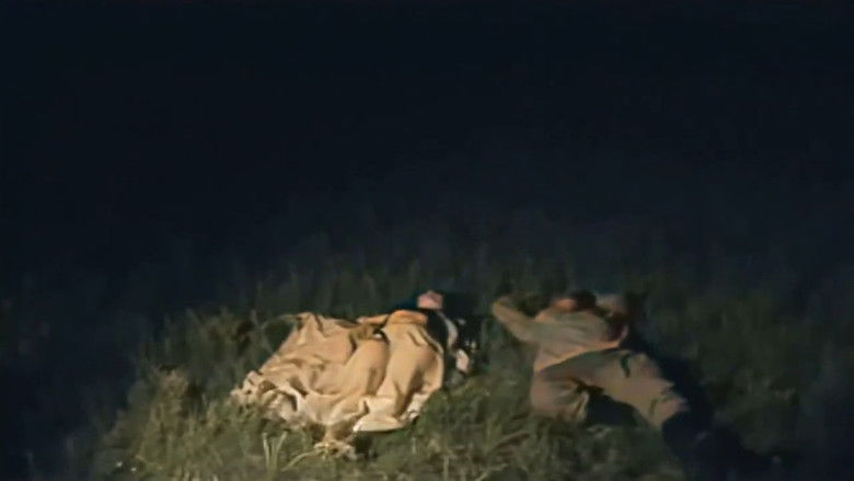 кадр из фильма Диваажингаас амьдралд хүрэх зам