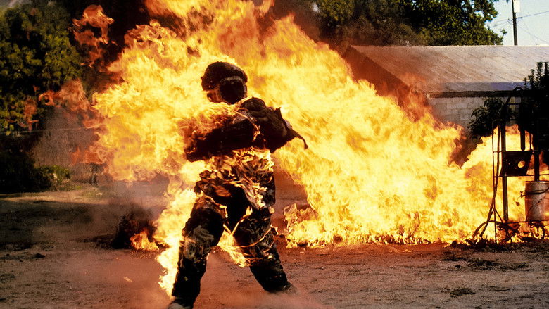 кадр из фильма Паразит