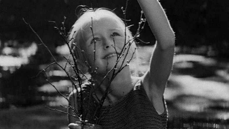 кадр из фильма Красавица