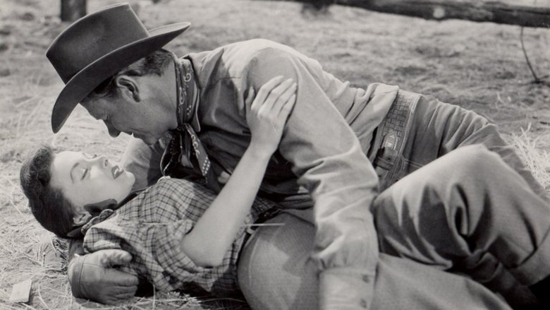 кадр из фильма Black Horse Canyon