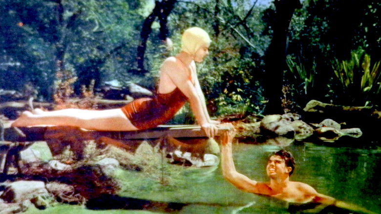 кадр из фильма The Old Swimmin' Hole