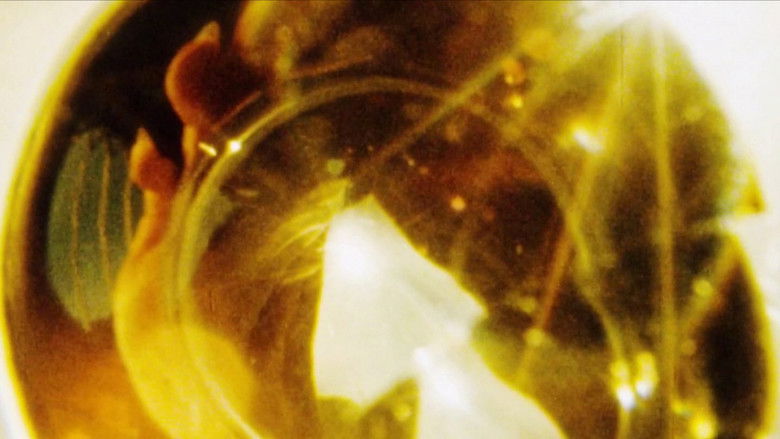 кадр из фильма Maternal Filigree