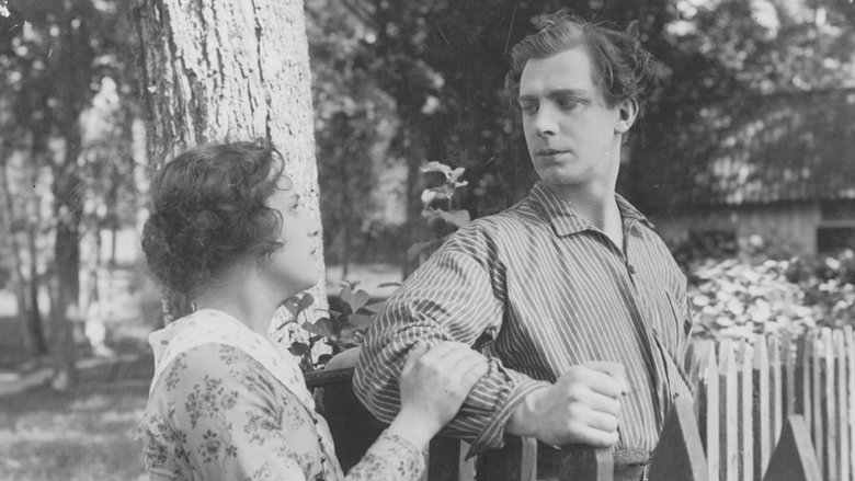 Наследство Ингмара