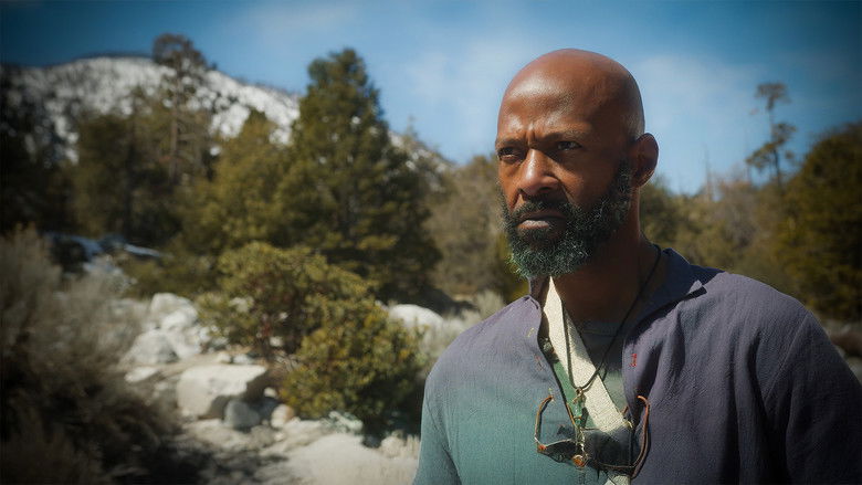 кадр из фильма The Way of the Stranger