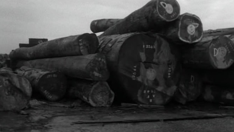 кадр из фильма Aurélia Steiner (Vancouver)