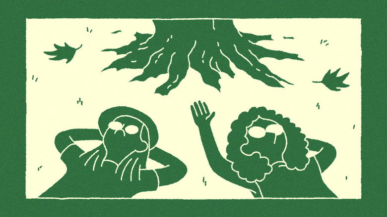 кадр из фильма The Sycamore