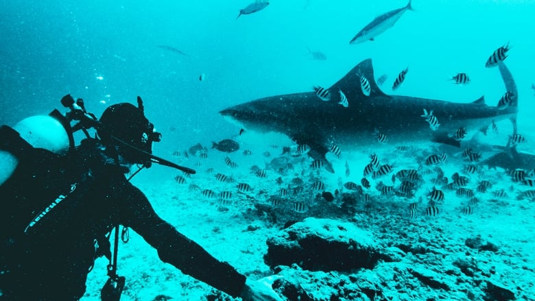 кадр из фильма Shark Queens