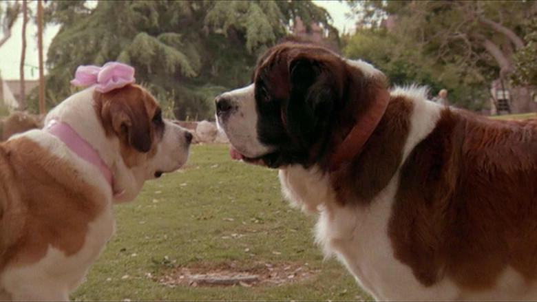 кадр из фильма Бетховен 2