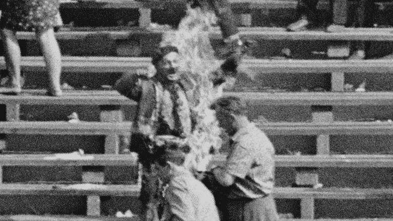 Usłyszcie mój krzyk