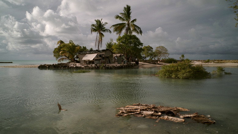 кадр из фильма Anote's Ark