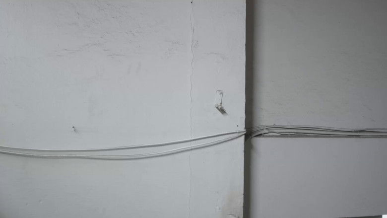 кадр из фильма ela viu aranhas