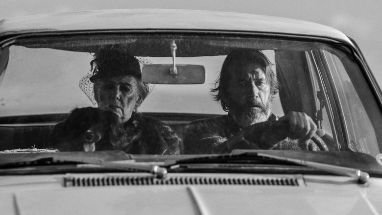 кадр из фильма Á Ferð með Mömmu