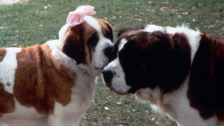 кадр из фильма Бетховен 2