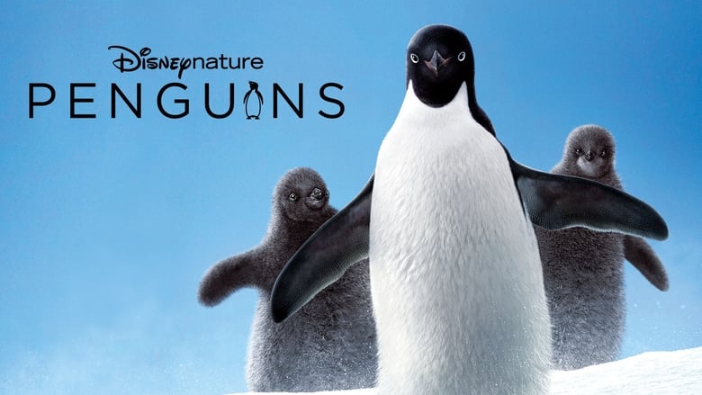 кадр из фильма Penguins