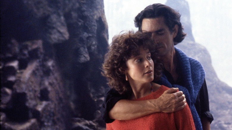 кадр из фильма Черная вдова