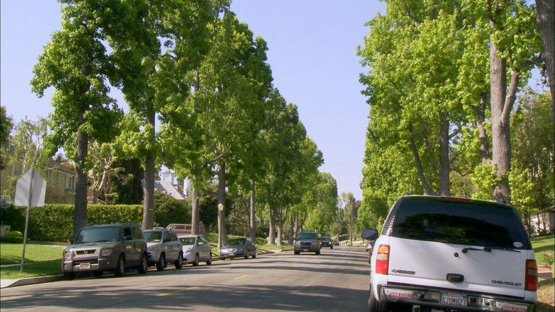 кадр из фильма Собака, спасшая Рождество