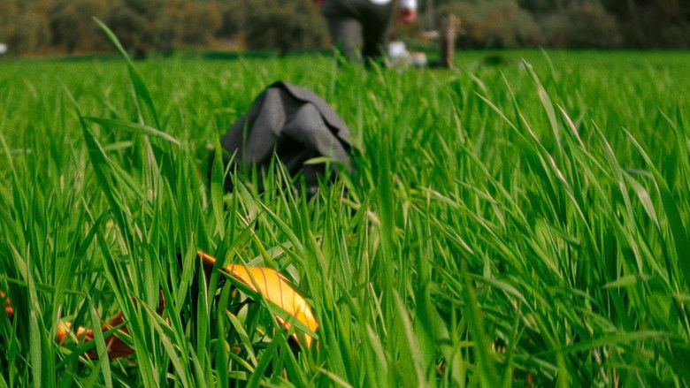 кадр из фильма pequeño lujo.