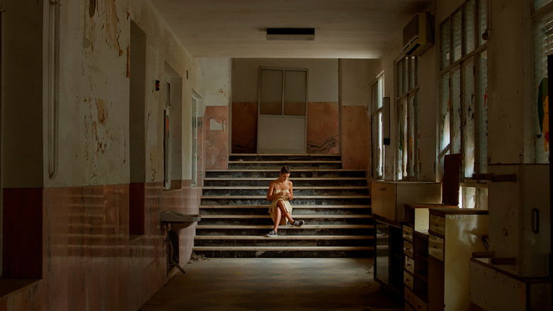 кадр из фильма Deus-e-Meio