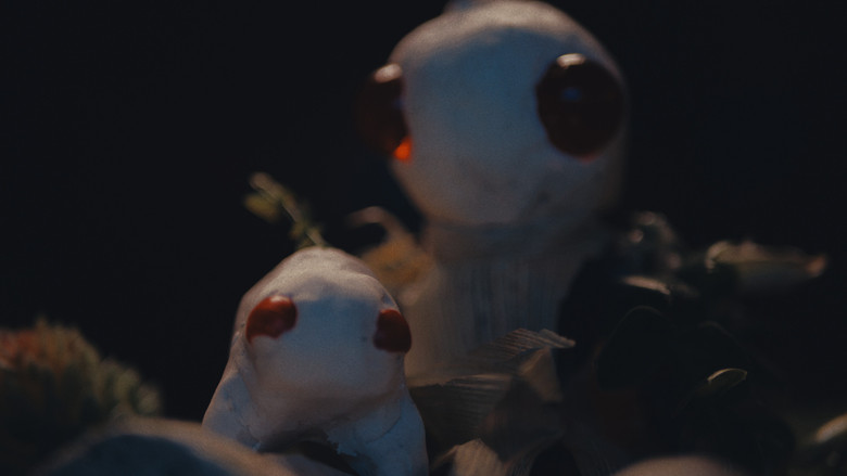 кадр из фильма The Plant Boy